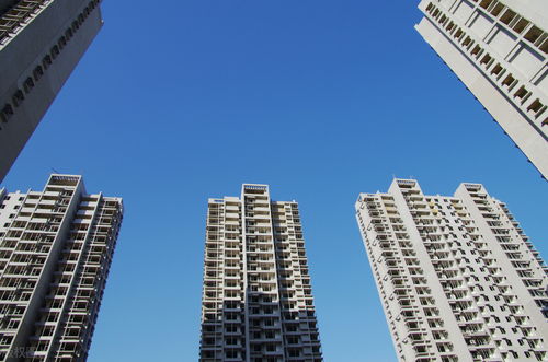 在樓市，為什么你總趕不上房價的漲幅？以鄭州房地產市場為例